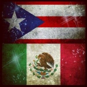 Meet your Posher, Rose